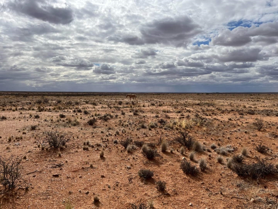 1 Bedroom Property for Sale in Kenhardt Northern Cape